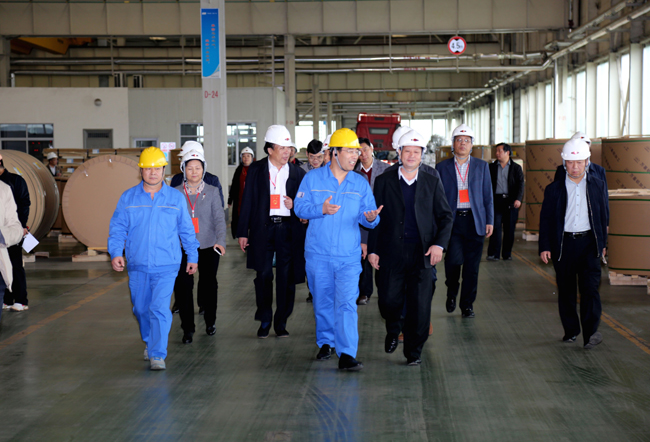 駐洛陽(yáng)市省、市人大代表到萬(wàn)基控股集團(tuán)參觀